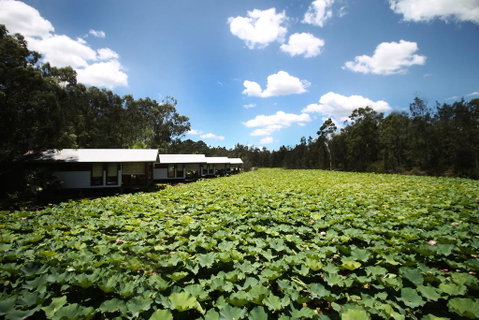 The Boathouses At Leaves & Fishes - Lightning Ridge Tourism 0
