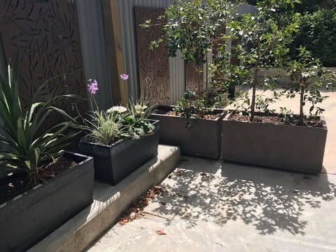 The Cottages At The 1839 - Lightning Ridge Tourism 3