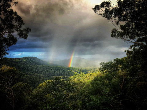 The Den Of The Treehouse, KINABALU Farm - Lightning Ridge Tourism 0