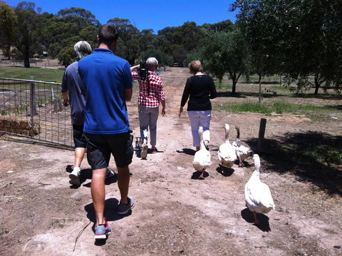 The Farm Willunga - Lightning Ridge Tourism 1