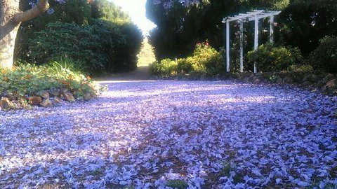 The Old Church Bed And Breakfast - Lightning Ridge Tourism 2