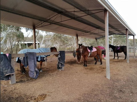 The Saddle Camp Tiny House, Braidwood - Lightning Ridge Tourism 1