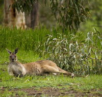 The Stirling Golf Club - Lightning Ridge Tourism