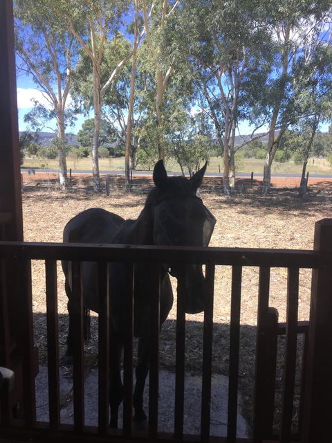 Thie My Chree Retreat - Lightning Ridge Tourism 3