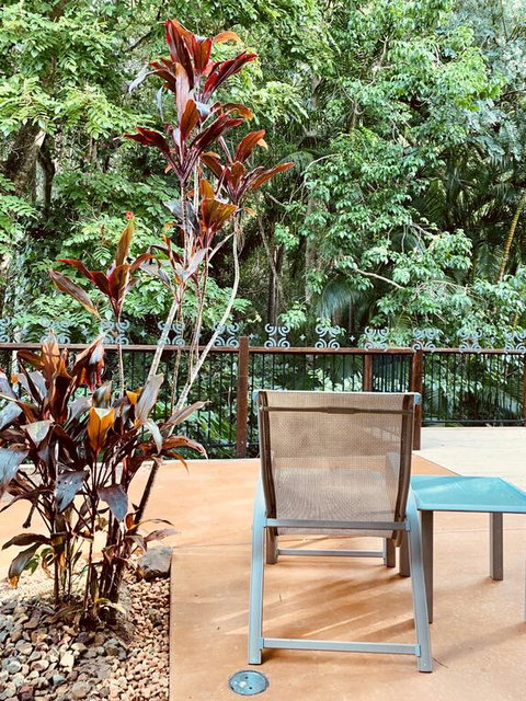 Tranquil Setting In Buderim - Lightning Ridge Tourism 3