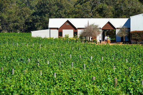 Upper Reach Spa Cottage - Lightning Ridge Tourism 0