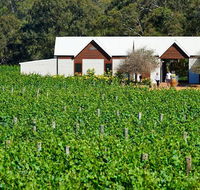 Upper Reach Spa Cottage - Lightning Ridge Tourism