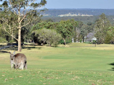 Villas Treinta (Sleeps 30) Resort Condos Located Within Cypress Lakes Resort (nothing Is More Central) - Lightning Ridge Tourism 0