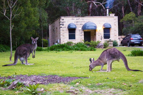 Marwood Villas - Lightning Ridge Tourism 0
