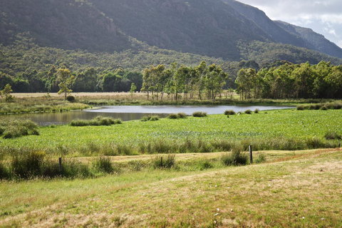 Gumnut Villa - Lightning Ridge Tourism 11