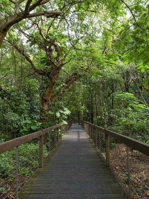 Hotel Grand Chancellor Palm Cove - Lightning Ridge Tourism 29