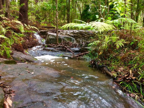 Noosa Hinterland Retreat - Lightning Ridge Tourism 12