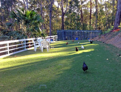 Noosa Hinterland Retreat - Lightning Ridge Tourism 11