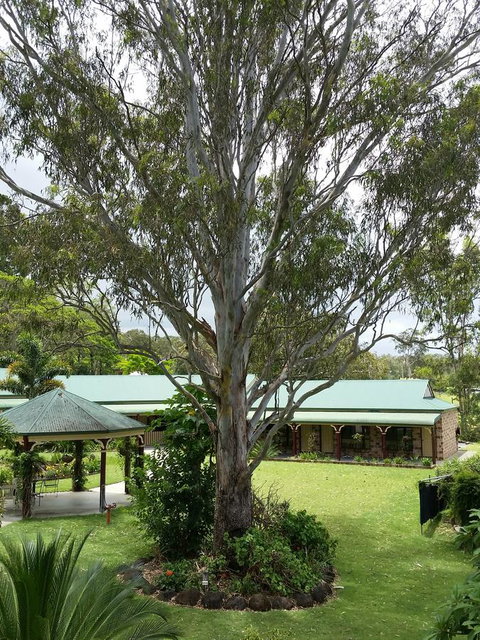 The Bearded Dragon Boutique Hotel - Lightning Ridge Tourism 32