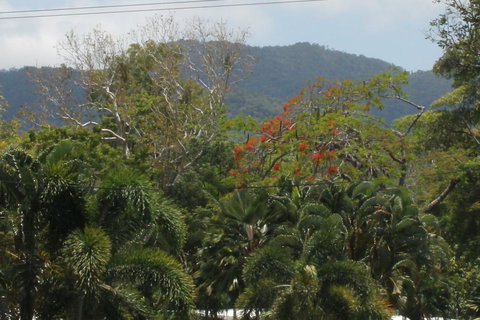 Sea Point On Trinity Beach - Lightning Ridge Tourism 21