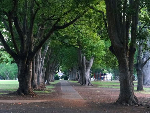 Comfort Inn Grammar View - Lightning Ridge Tourism 19