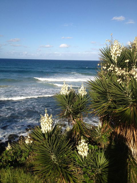 Oceania On Burleigh Beach - Lightning Ridge Tourism 23