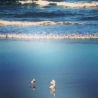 Oceania On Burleigh Beach - Lightning Ridge Tourism 40