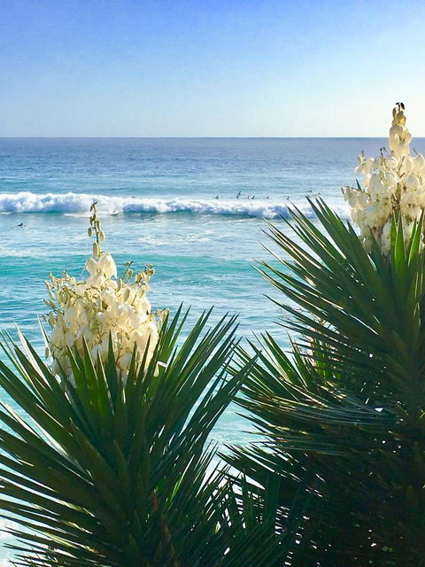 Oceania On Burleigh Beach - Lightning Ridge Tourism 21