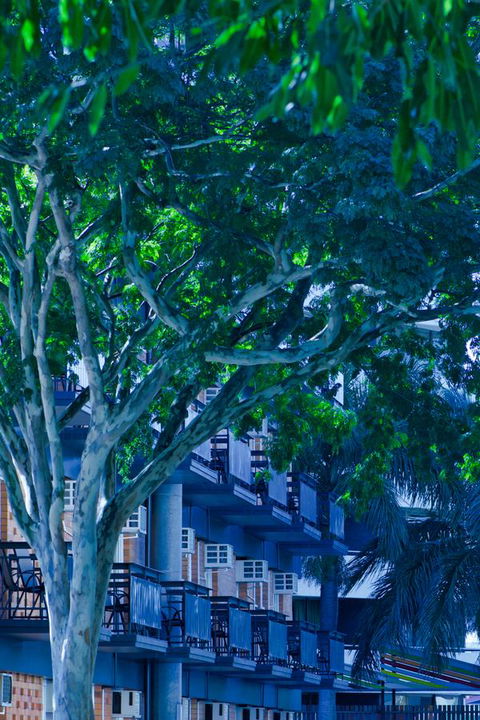 Soho Brisbane - Lightning Ridge Tourism 12