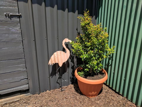Lilly Pilly House - Lightning Ridge Tourism 10