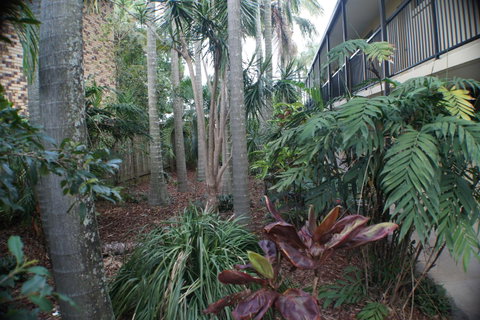 Best Western Airport 85 Motel - Lightning Ridge Tourism 34