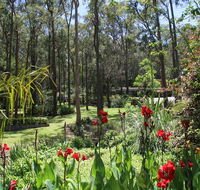 Werekataba - Lightning Ridge Tourism