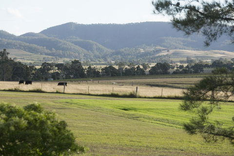 Windarra Lodge - Lightning Ridge Tourism 3