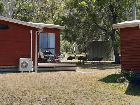 Wonderland Cottages - Lightning Ridge Tourism 3
