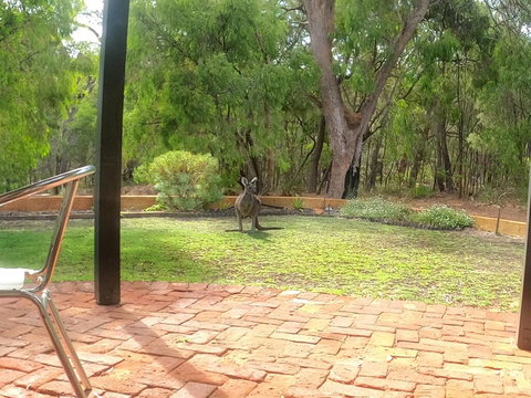 Yallingup Pet Friendly Bush Retreat - Lightning Ridge Tourism 3