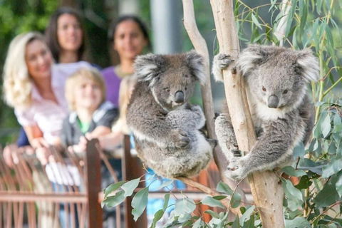 A 3BR Apt Next To Melbourne Zoo FREE Parking - Lightning Ridge Tourism 2