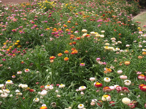 Eastgate On The Range Motel - Lightning Ridge Tourism 37