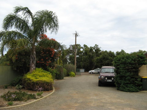 Ficifolia Lodge - Lightning Ridge Tourism 1