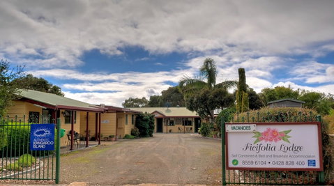 Ficifolia Lodge - Lightning Ridge Tourism 0