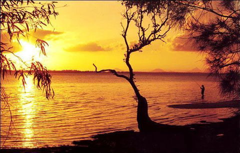 Waterfront At White Patch - Lightning Ridge Tourism 23