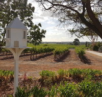 'In The Vines' Guest Cottage Barossa Valley - Lightning Ridge Tourism