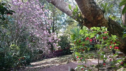 305 Montville - The Artist's Cottage - Lightning Ridge Tourism 3
