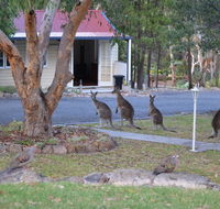 31 The Rocks - Lightning Ridge Tourism