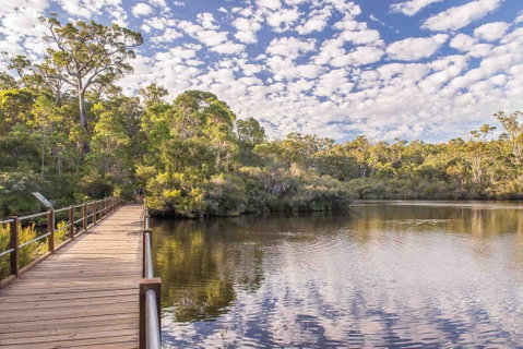Abundance - Lightning Ridge Tourism 0