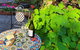 Garden Rest - thumb 1