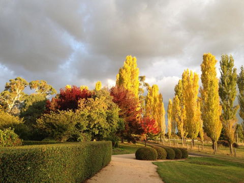 Glen Waverly Farmstay - Lightning Ridge Tourism 1