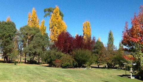 Glen Waverly Farmstay - Lightning Ridge Tourism 3