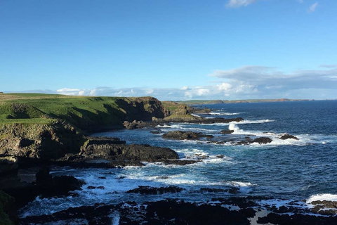 Adrift At Ventnor On Phillip Island, Pets - Lightning Ridge Tourism 1