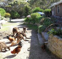 Anchorage Apartments - Lightning Ridge Tourism