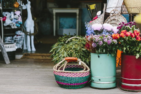 Angel Sussurri - Lightning Ridge Tourism 3