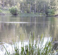 Arcadian Cabin - Southern Highlands River Retreat - Lightning Ridge Tourism