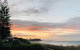 Palmy Ocean Oasis - thumb 0