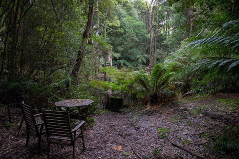 Parkwood Cottage - Lightning Ridge Tourism 1