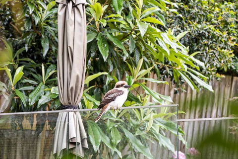 Quaint Queen Room - Central Location At Pymble - Shared Bathroom - Lightning Ridge Tourism 1