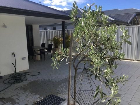 Azure@Ramada - Lightning Ridge Tourism 1